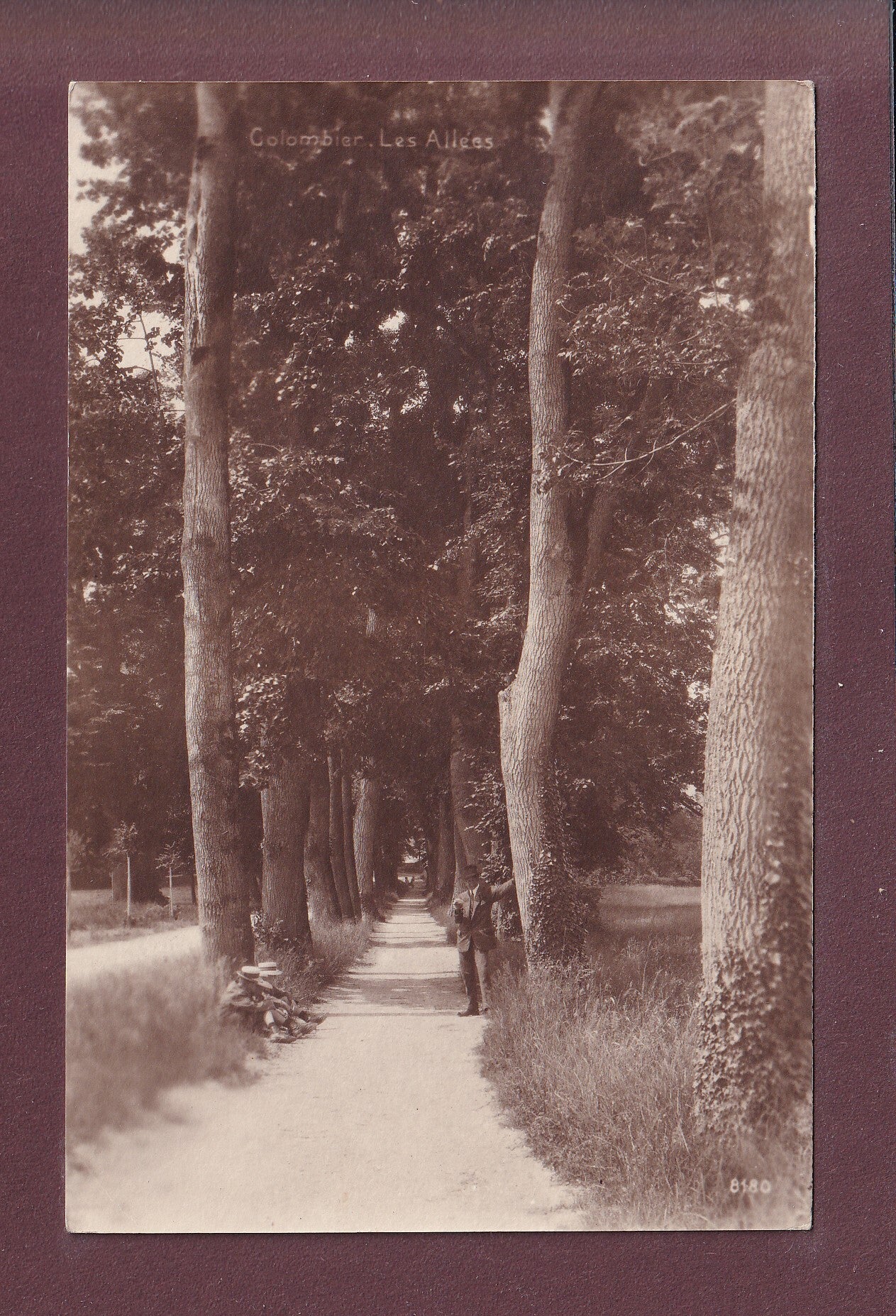 COLOMBIER - Les Allées - 1919