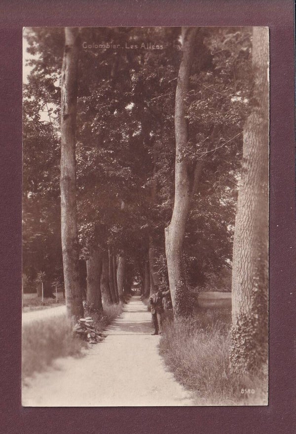 COLOMBIER - Les Allées - 1919