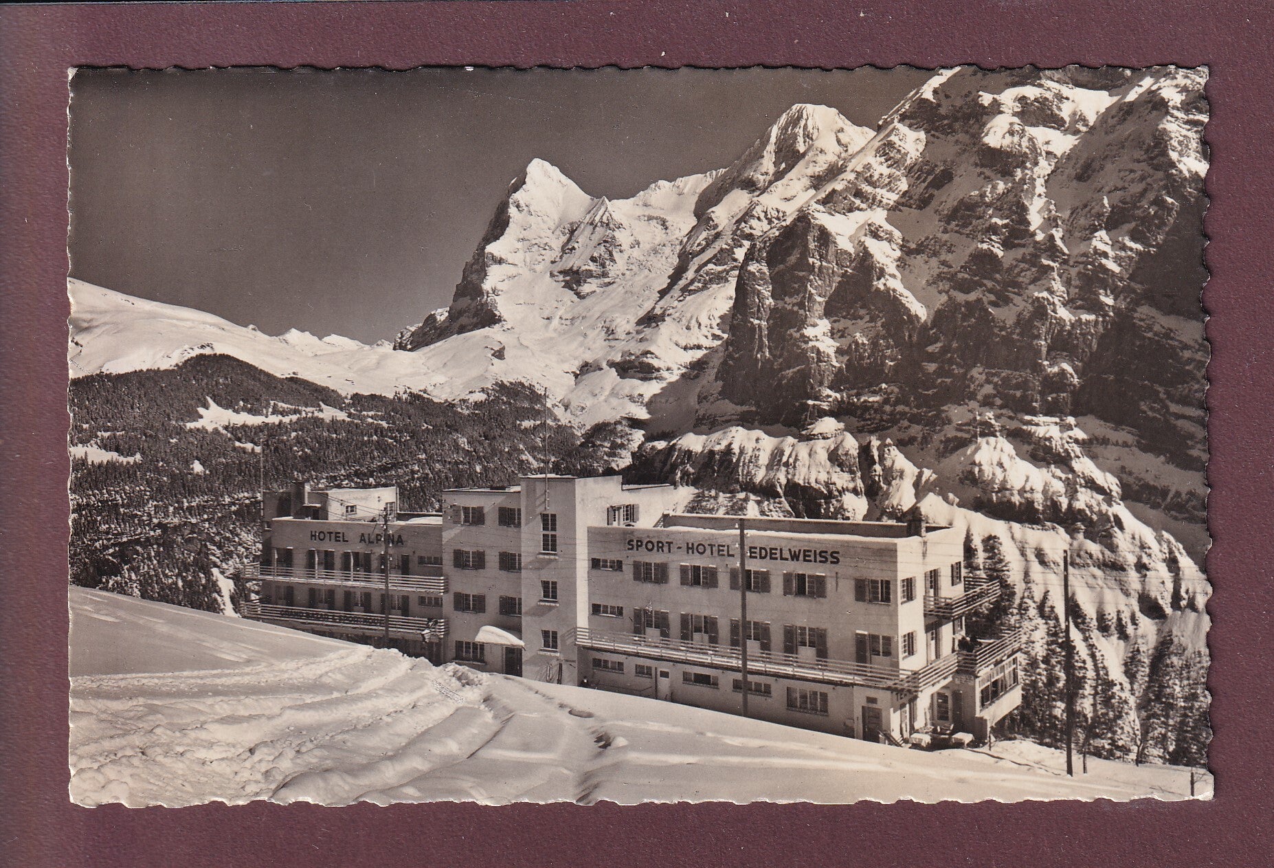 MÜRREN - Hotel Alpina - Sport-Hotel Edelweiss