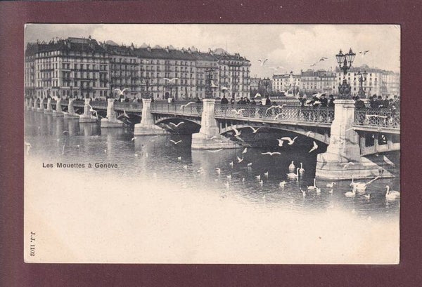GENEVE - Les Mouettes