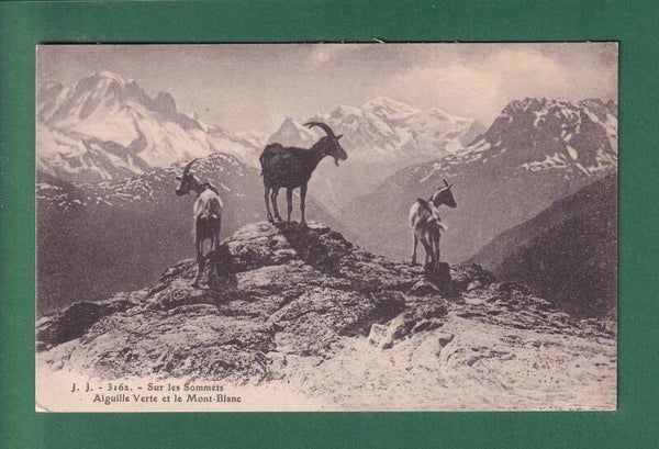 CHEVRES - Aiguille Verte et Mont-Blanc