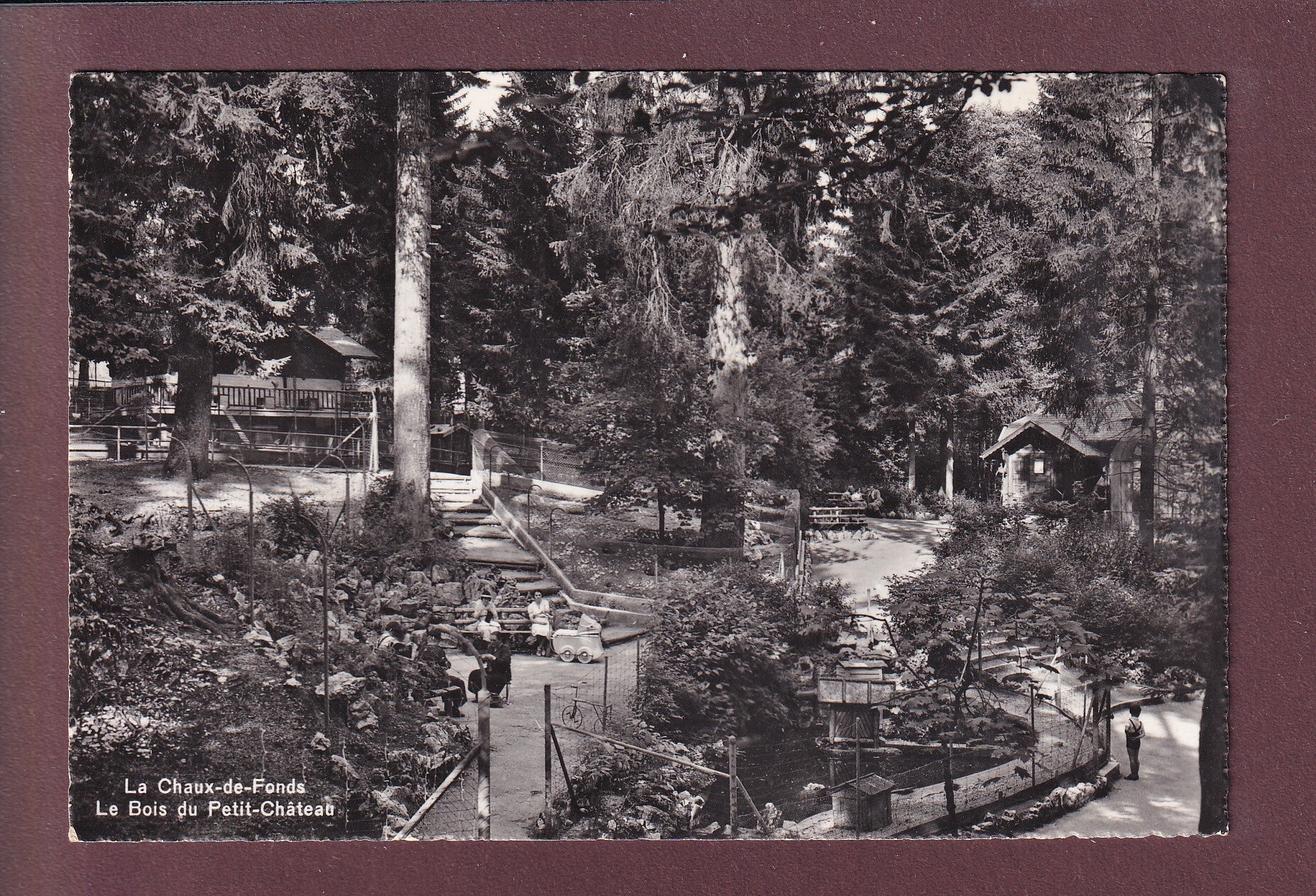 LA CHAUX-DE-FONDS - Bois du Petit-Château - 1955
