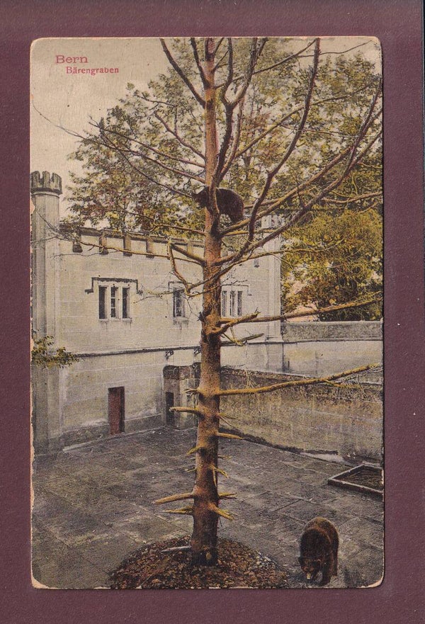 BERN - Bärengraben - 1913