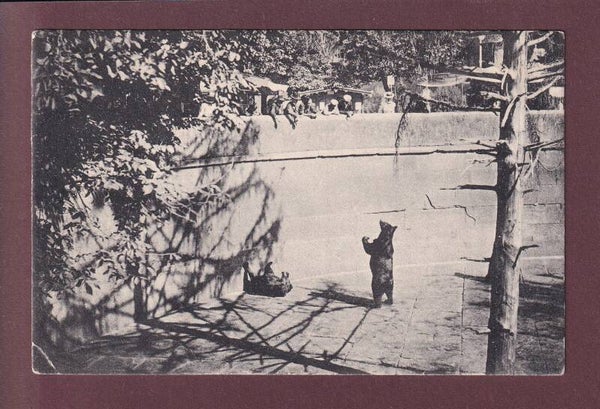 BERN - Bärengraben - 1912 // Eckbug //