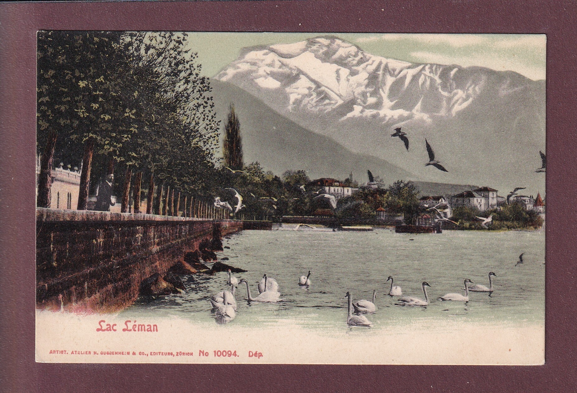 Bords du LAC LEMAN