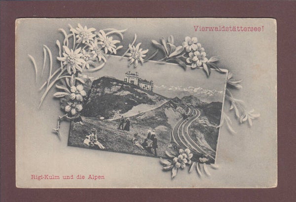 RIGI-KULM - Leute - Edelweiss