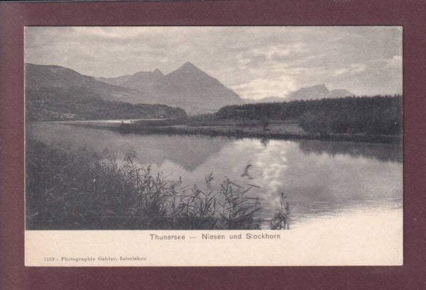 THUNERSEE - Niesen - Stockhorn
