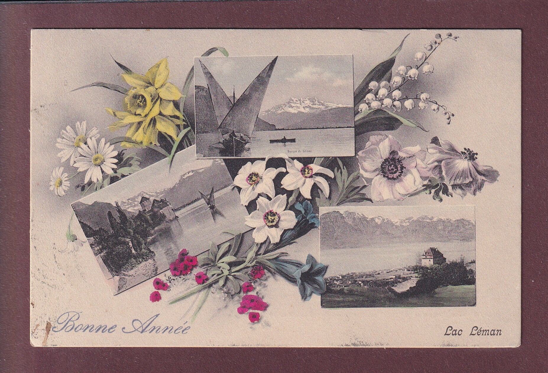 LAC LEMAN - Bonne Année - 1907