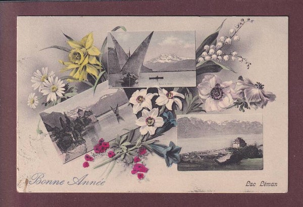 LAC LEMAN - Bonne Année - 1907