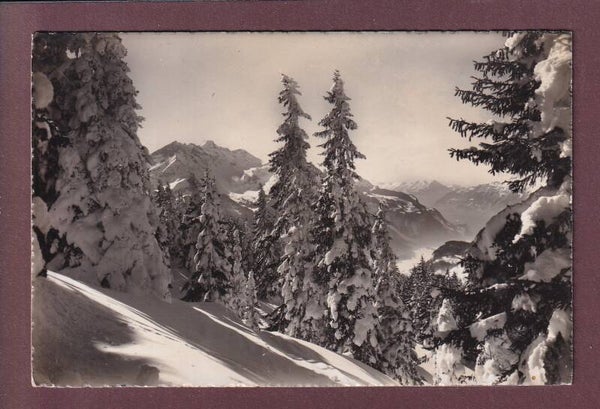 HASLIBERG - Skigebiet ob Brünig