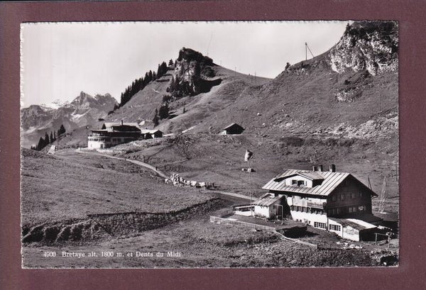 BRETAYE - Dents du Midi