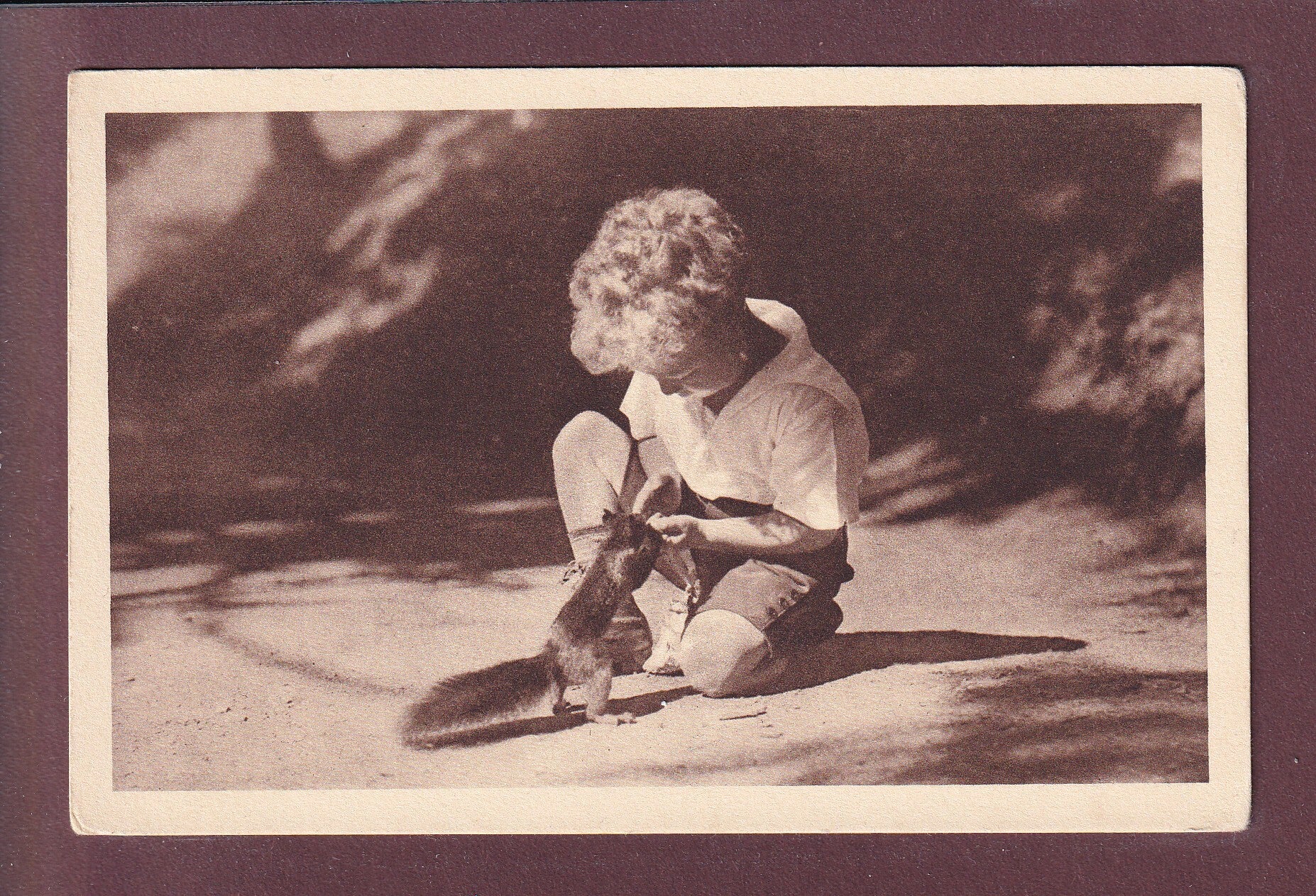AROSA - Waldfreunde - Eichhörnchen