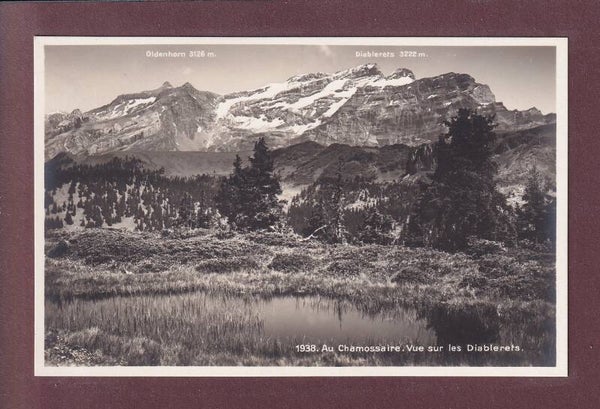 Au CHAMOSSAIRE - Vue sur les Diablerets