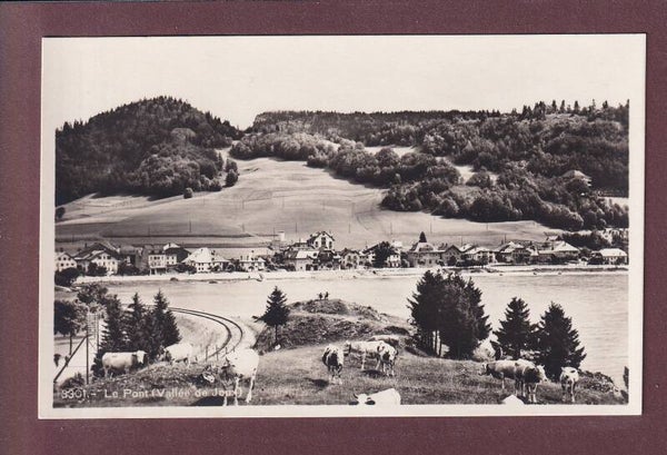 Vallée de Joux - LE PONT - Vaches