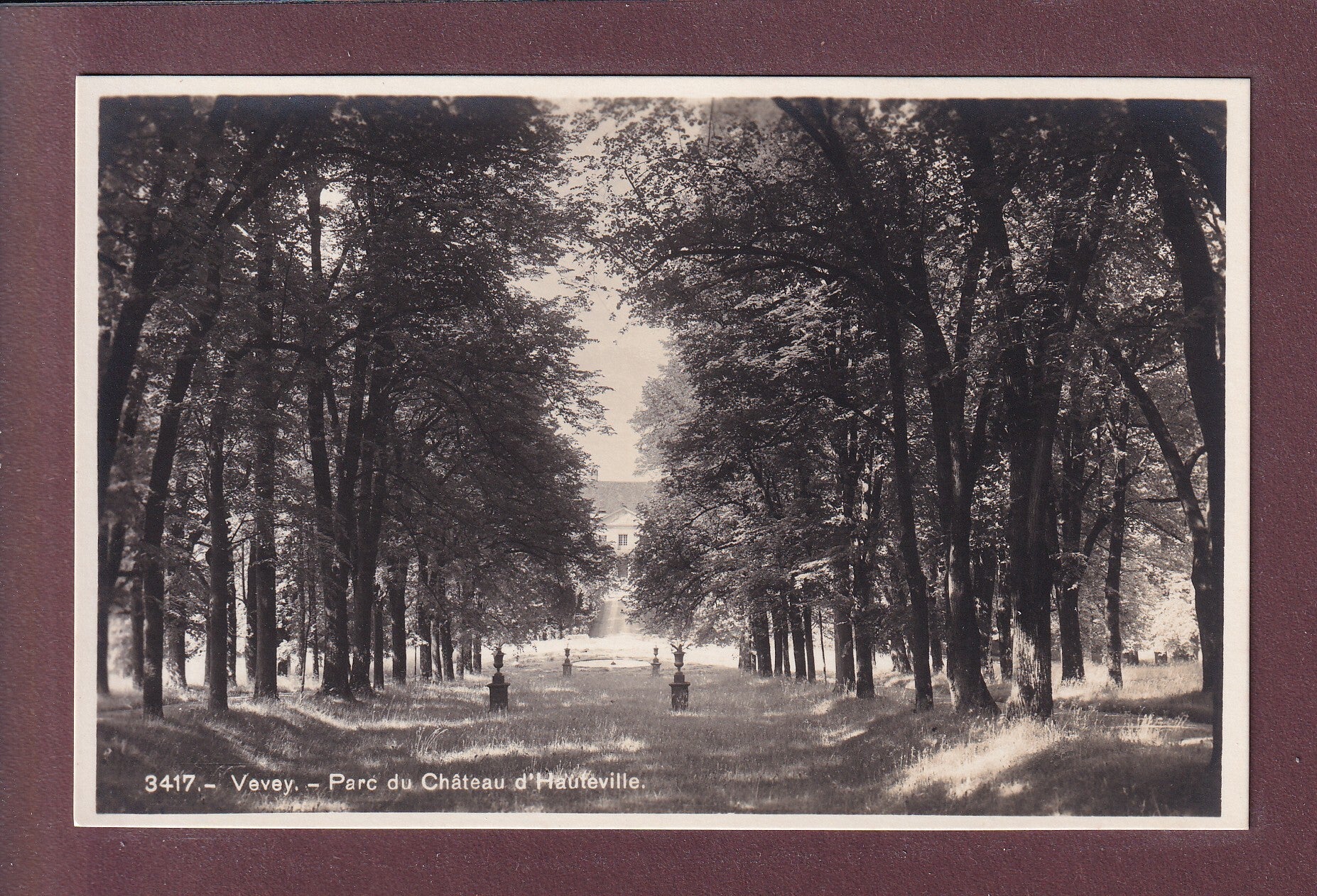 VEVEY - Parc du Château d'Hauteville