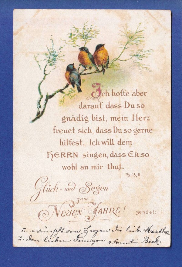 NEUJAHR - Vögel - Vers - 1905