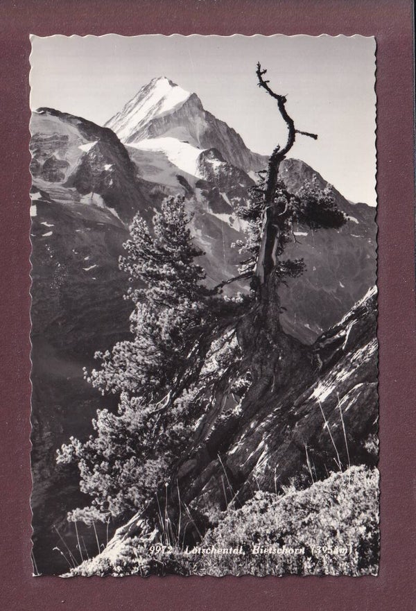 LÖTSCHENTAL - Bietschhorn