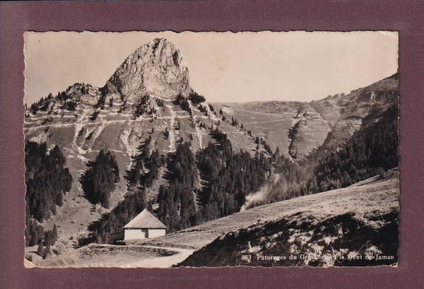 Pâturages du GRESALLEZ - Dent de Jaman - 1936