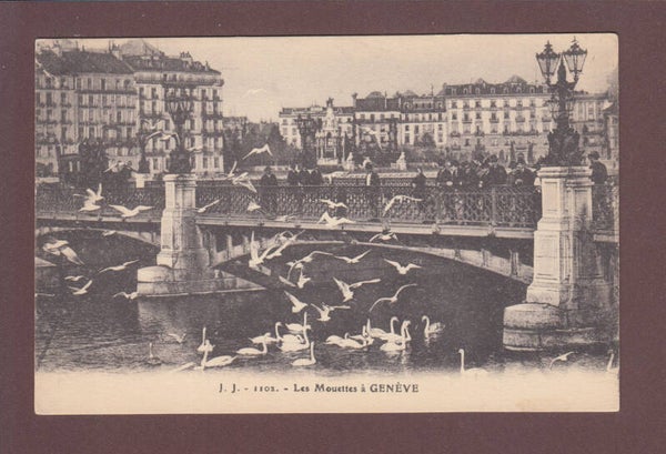 GENEVE - Les Mouettes