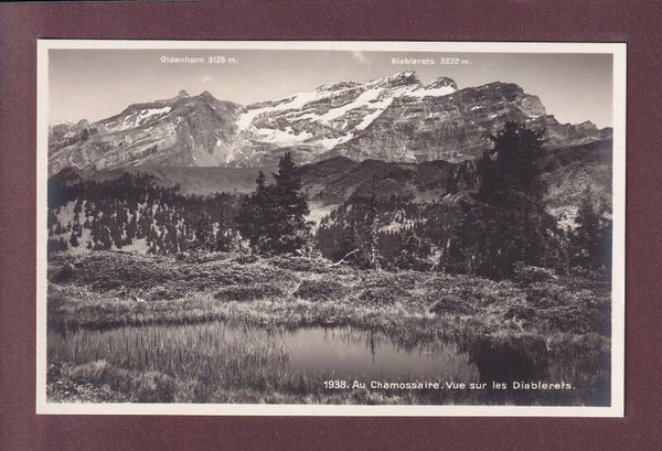 Au CHAMOSSAIRE - Diablerets