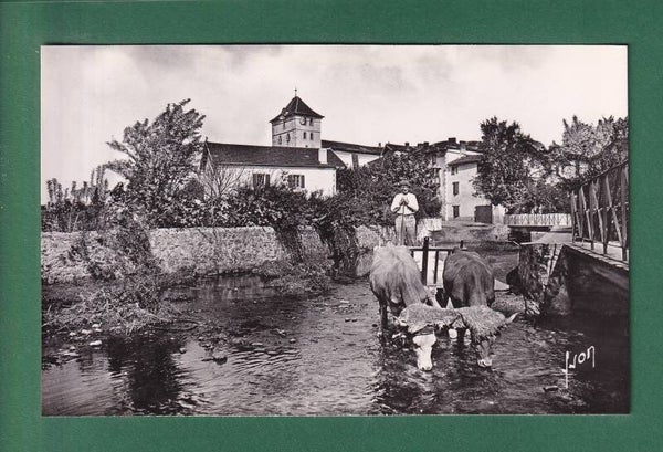 Pays Basque - ESPELETTE - Attelage