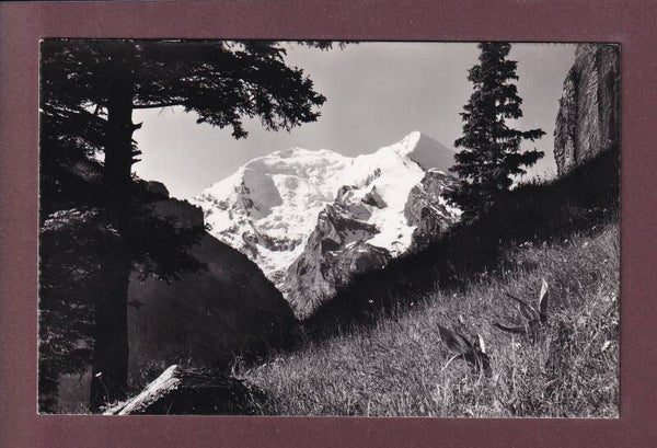BALMHORN und ALTELS vom Allmen aus - 1961