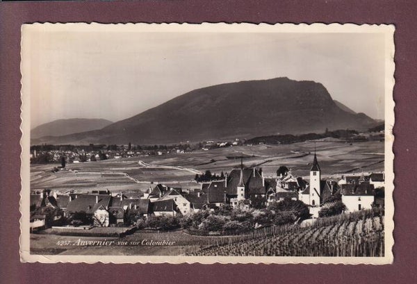 AUVERNIER - Vue sur Colombier - 1951 // léger pli d'angle //