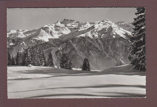 HAHNENBÜHL - Kärpfstöcke