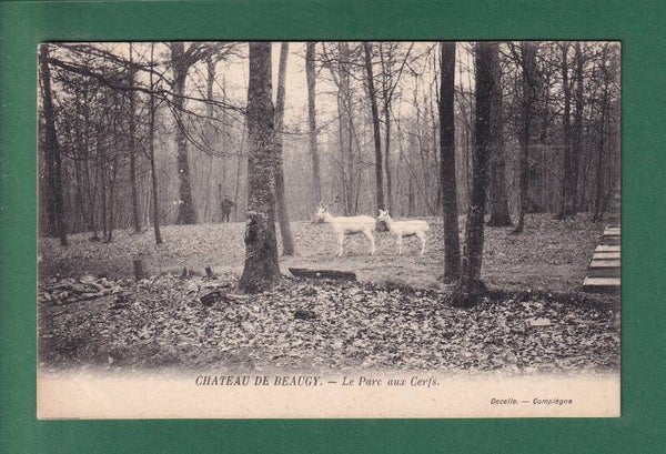 Château de BEAUGY - Parc au Cerfs