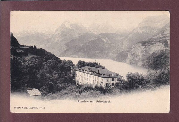 AXENFELS - Urirotstock