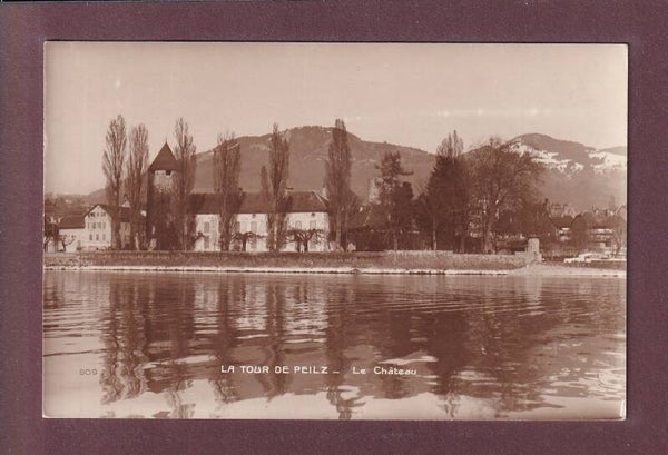 LA TOUR DE PEILZ - Château