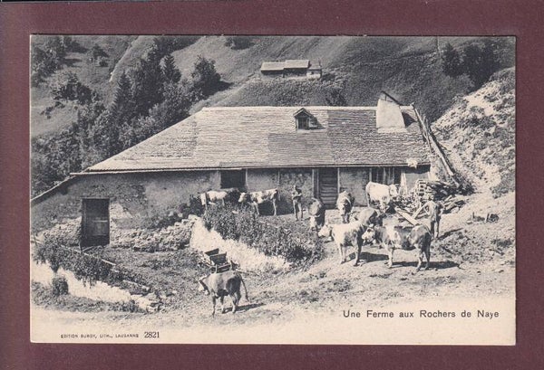ROCHERS DE NAYE - Une Ferme - Vaches