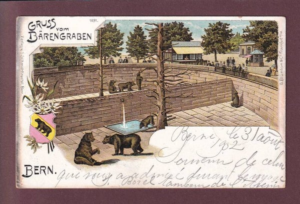 BERN - Gruss vom Bärengraben - 1902 Litho