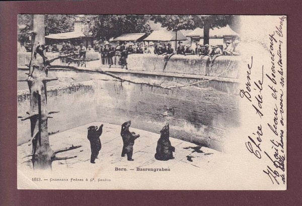 BERN - Bärengraben - 1902 Charnaux Frères // Eckbug //
