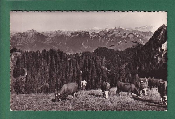 THOLLON-LES-MEMISES - Montagnes Suisses