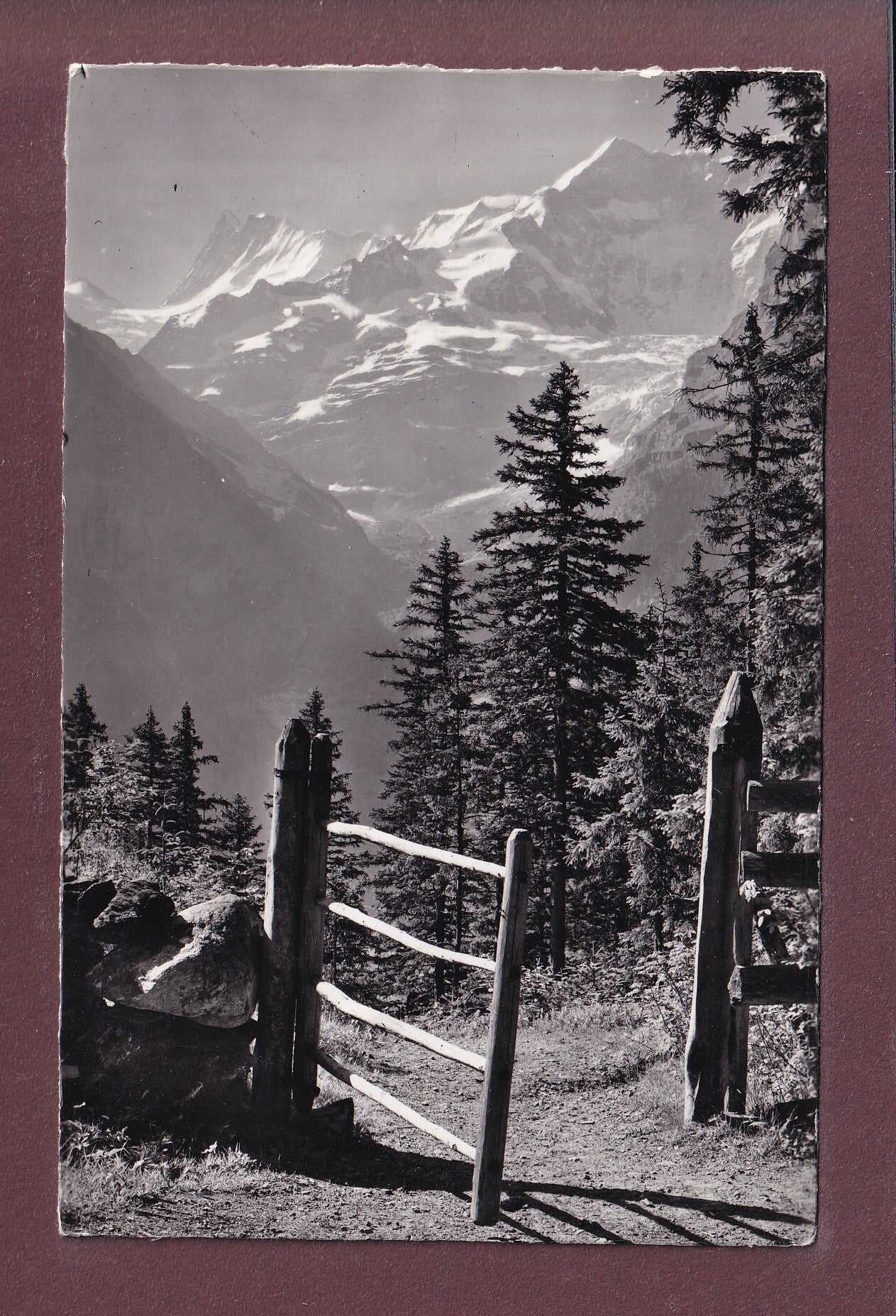 Grindelwald - Am Weg nach BUSSALP - 1957
