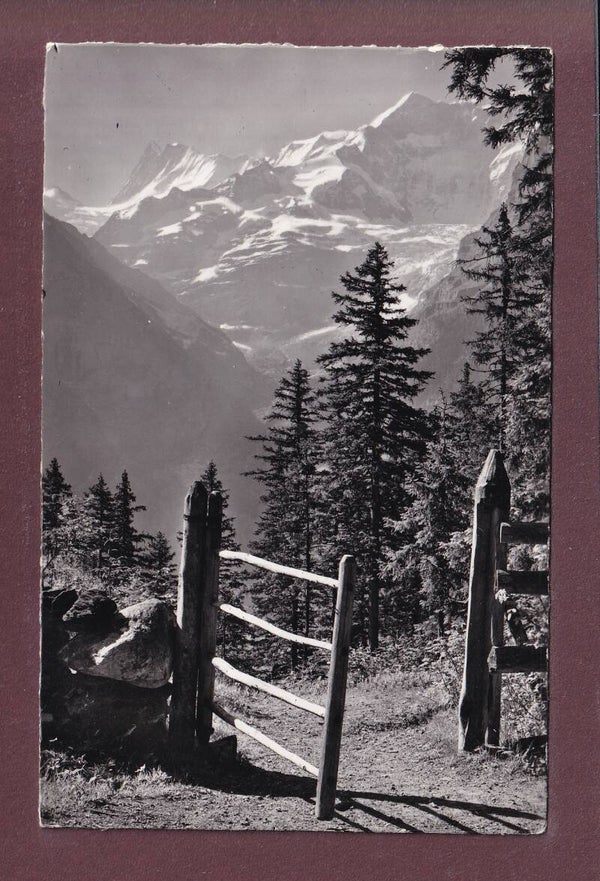 Grindelwald - Am Weg nach BUSSALP - 1957
