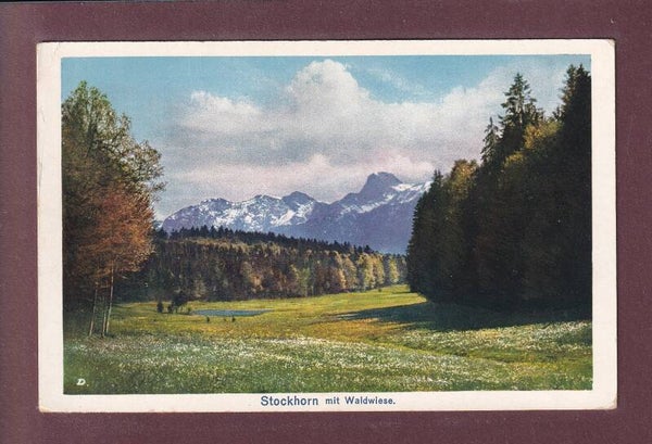 STOCKHORN - Waldwiese // Eckbug //
