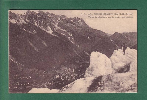 Vallée de Chamonix vue du GLACIER DES BOSSONS