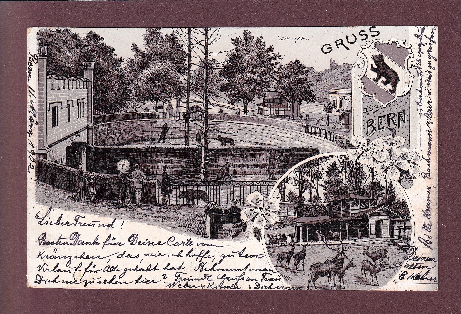 BERN - Bärengraben - 1902 Litho