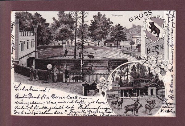 BERN - Bärengraben - 1902 Litho