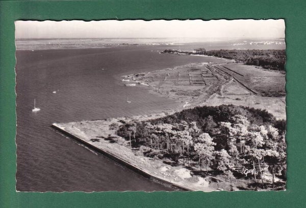 RONCE LES BAINS - Vue aérienne