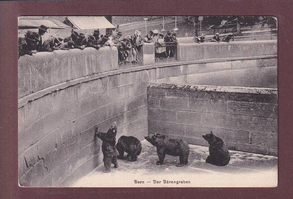 BERN - Bärengraben