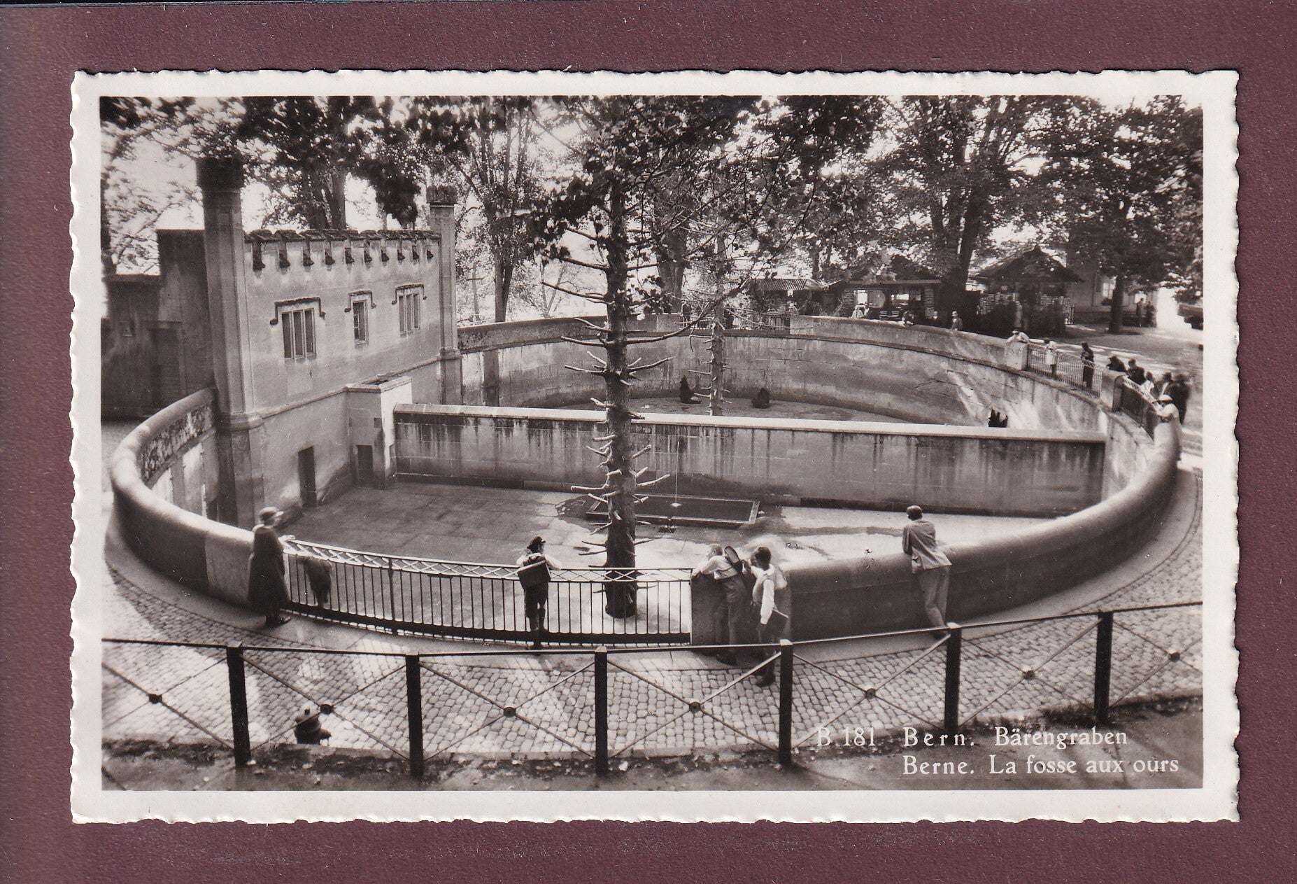 BERN - Bärengraben