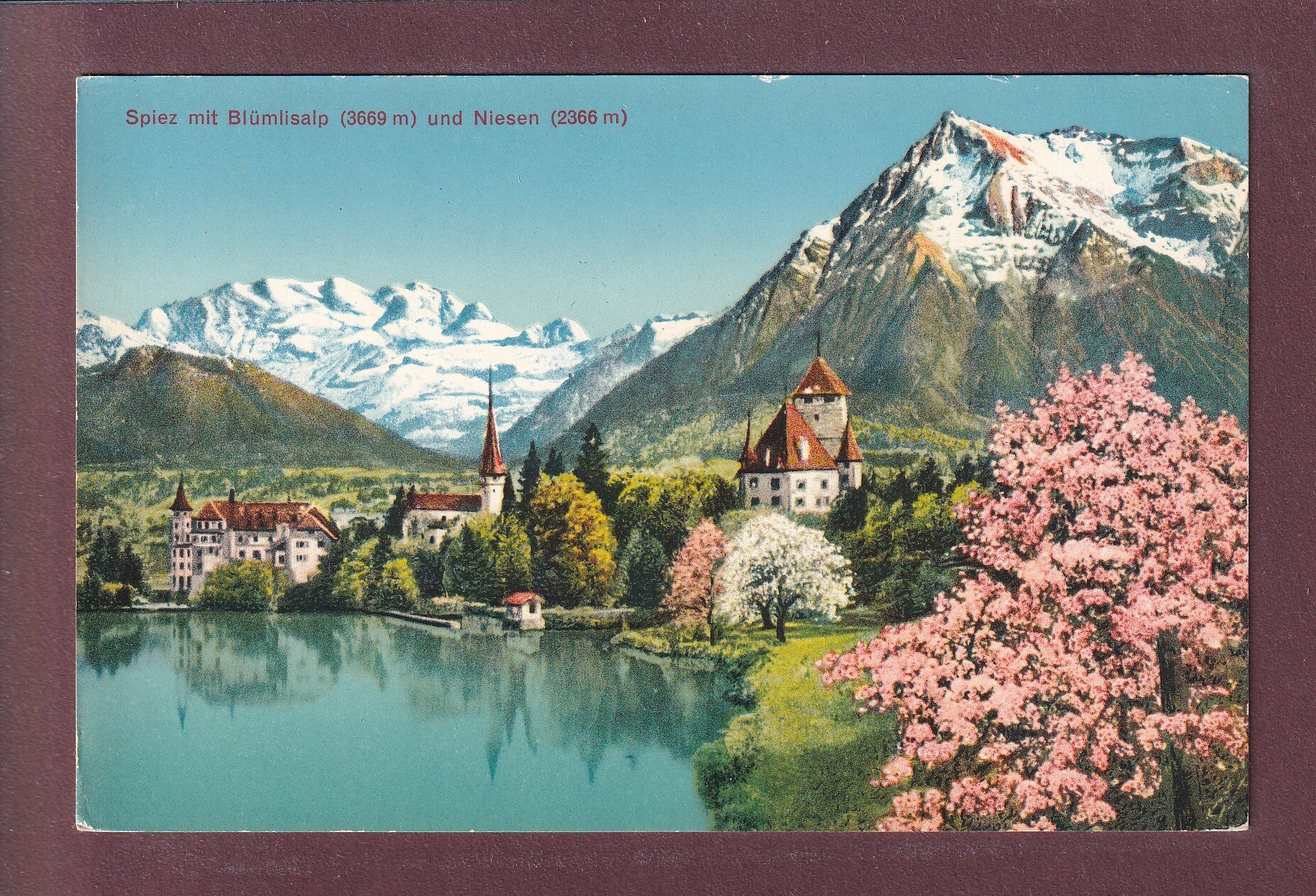 SPIEZ - Blümlisalp - Frühling