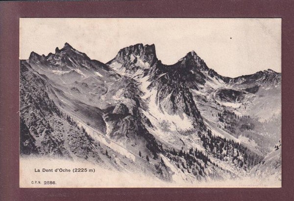 DENT D'OCHE - CPN