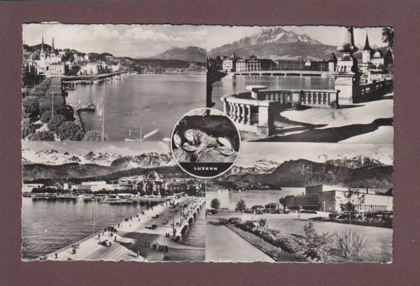 LUZERN - Löwe und 4 Bilder // Rück sehen //
