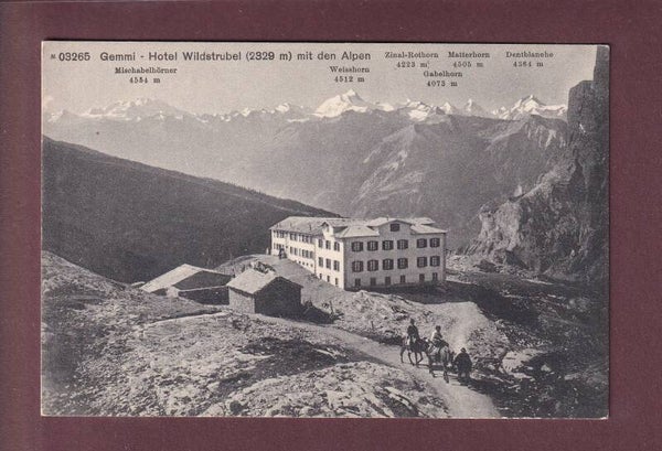GEMMI - Hotel Wildstrubel