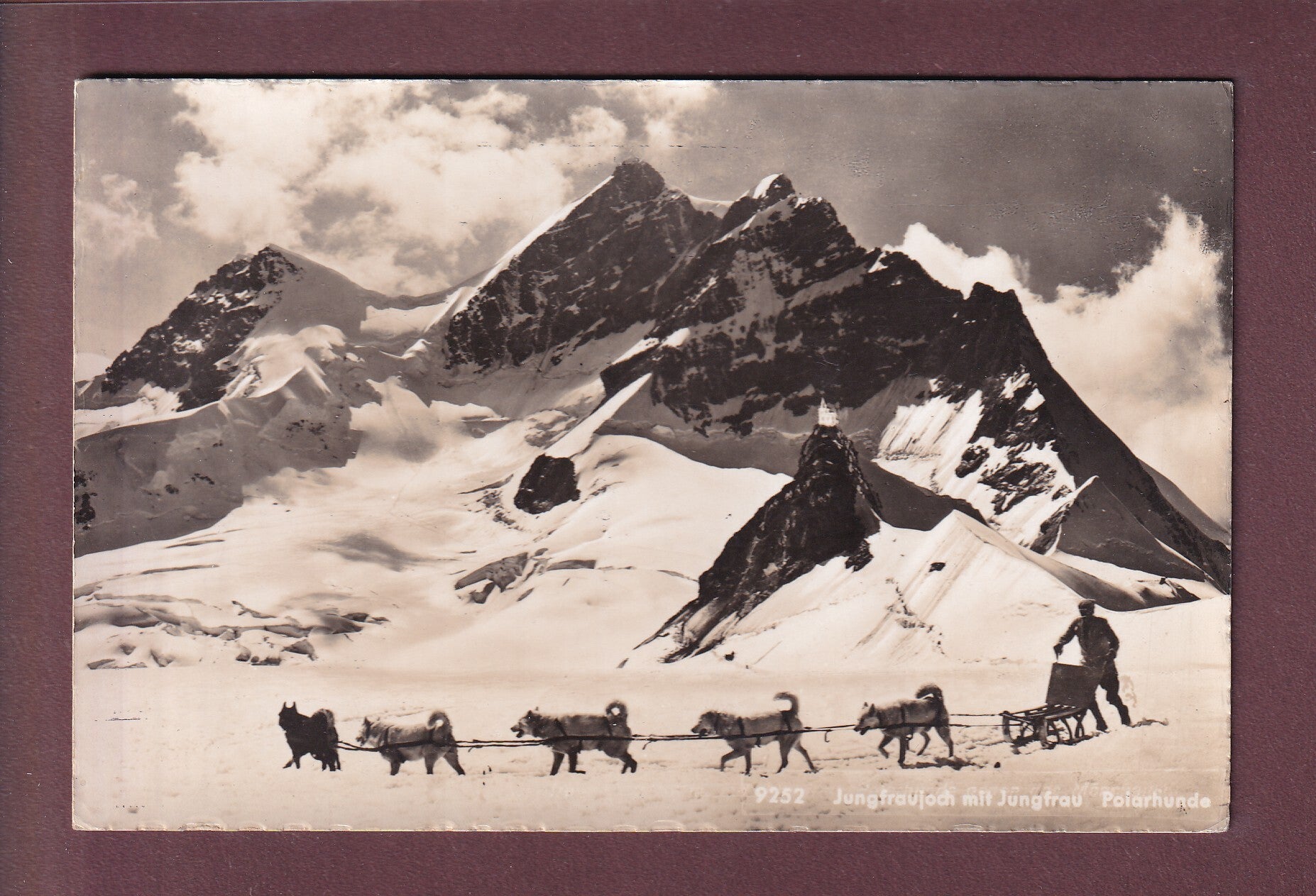 JUNGFRAUJOCH - Polarhunde