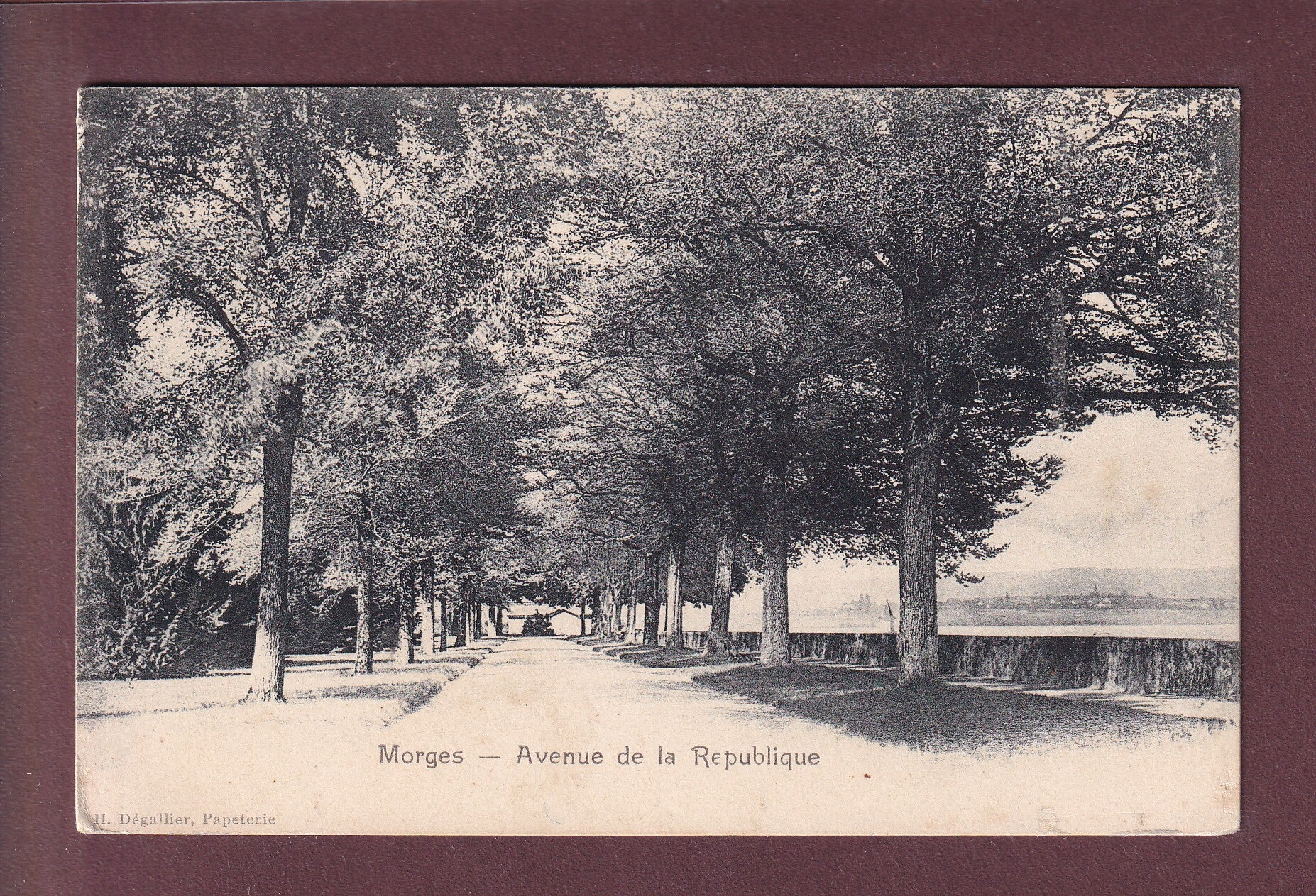 MORGES - Avenue de la République - Parc de l'Indépendence